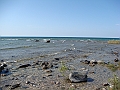 Western Michigan [2010] 785